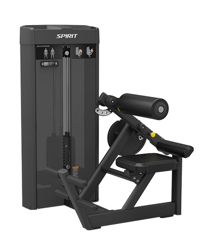 Разгибание спины Spirit Fitness SP-4310 660_800